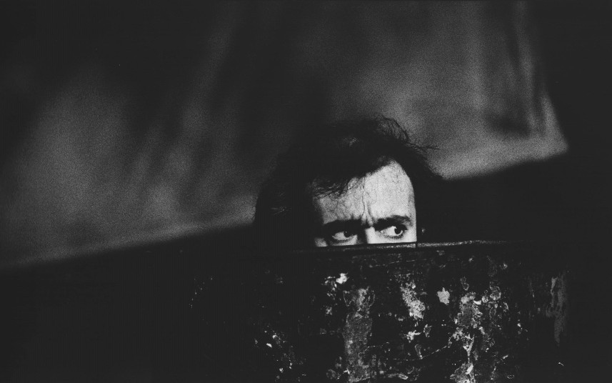 Laura Malaterra, teatro, Aspettando Halley, Marco Maria Ghio, Maurizio Buscarino