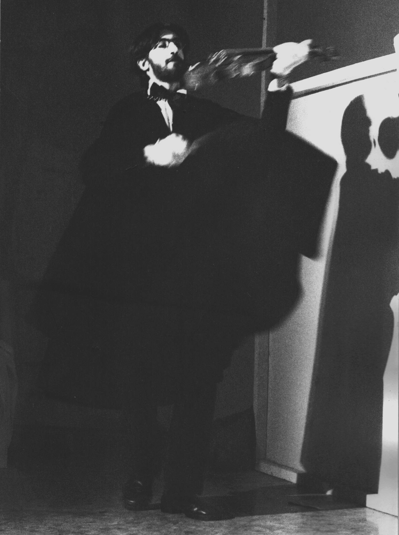 Laura Malaterra, teatro, teatro per ragazzi, Naso d'Argento, Daniela Cerrato, Vincenzo Gioanola, Adriana Rinaldi, Viviana Vitelli, Compagnia del Bagatto, spettacolo per ragazzi con burattini maschere attori e ombre cinesi, tratto da una fiaba popolare italiana
